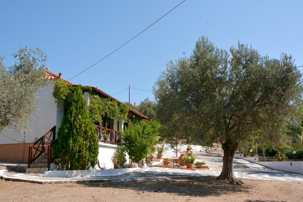 Sonia Studios Nees Kidonies Exterior photo
